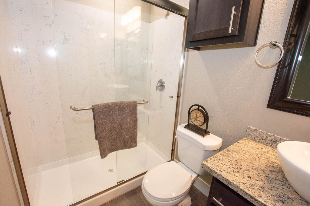 a bathroom with a shower and a toilet and a sink