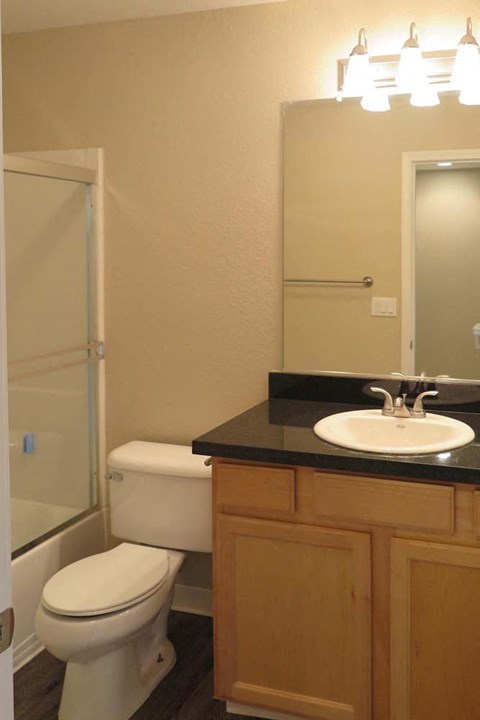 bathroom vanity with toilet  and tub/shower combination