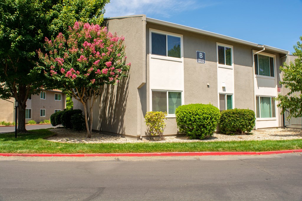 an apartment building with a flowering tree in front of it