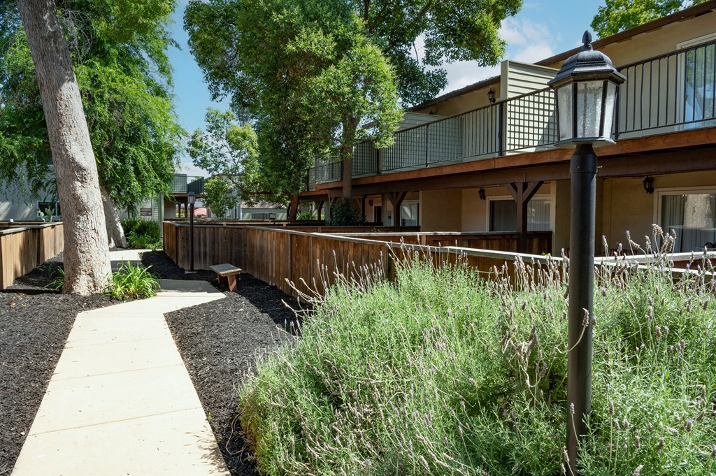 View of sidewalk winding between private patio/balcony with blooming landscaping and trees shading the sidewalk