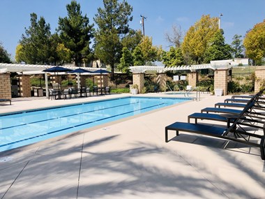 40680 Walsh Center Drive 1 Bed Apartment for Rent