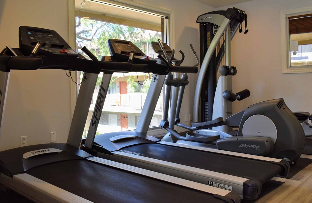 a treadmill in a gym with a window