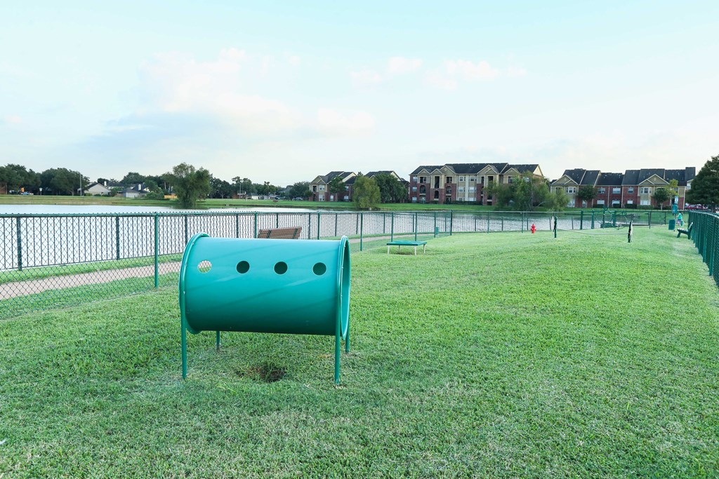a dog park with a lake in the background