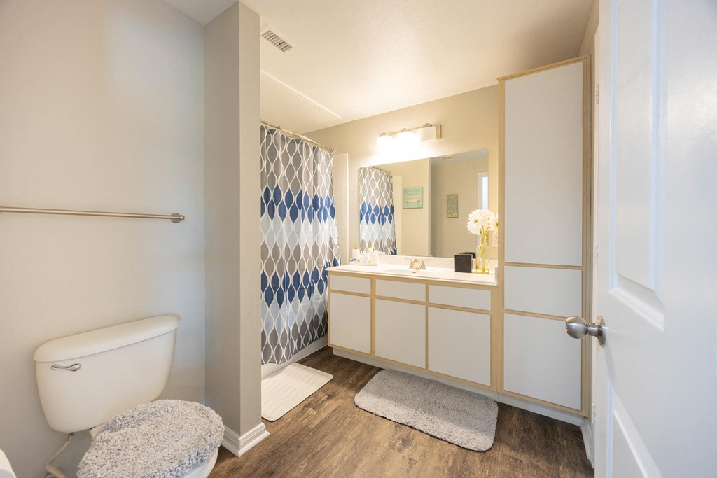 a bathroom with a toilet and a sink and a mirror