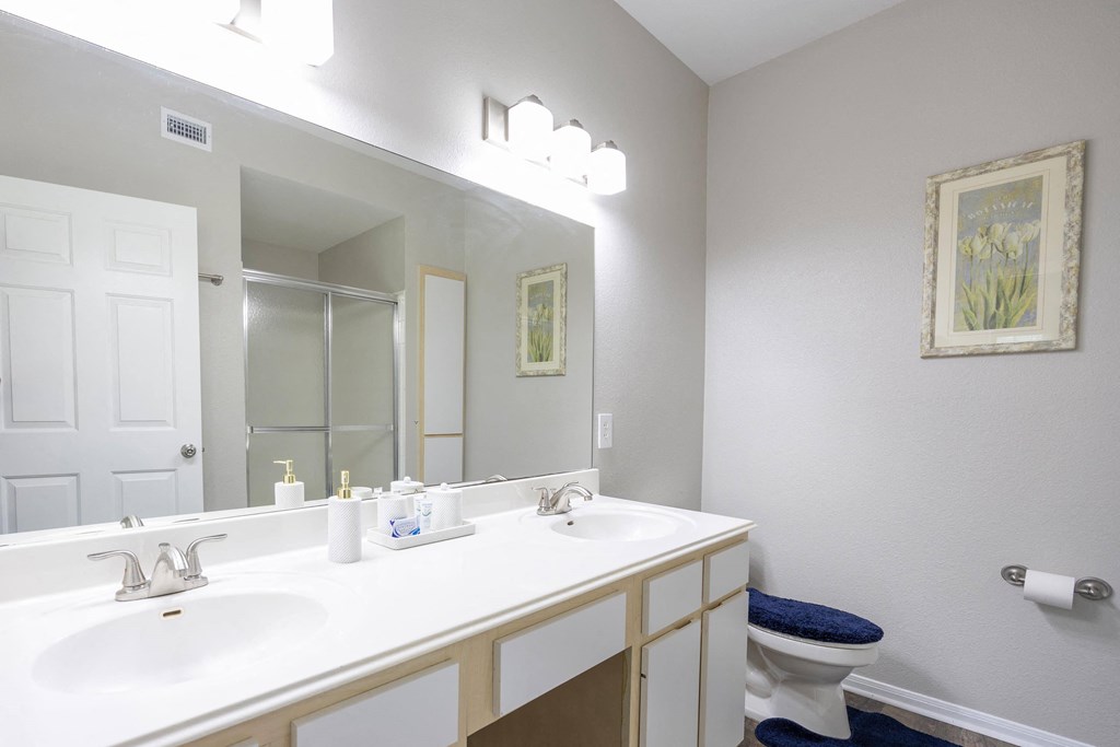 a bathroom with a sink and a mirror and a toilet