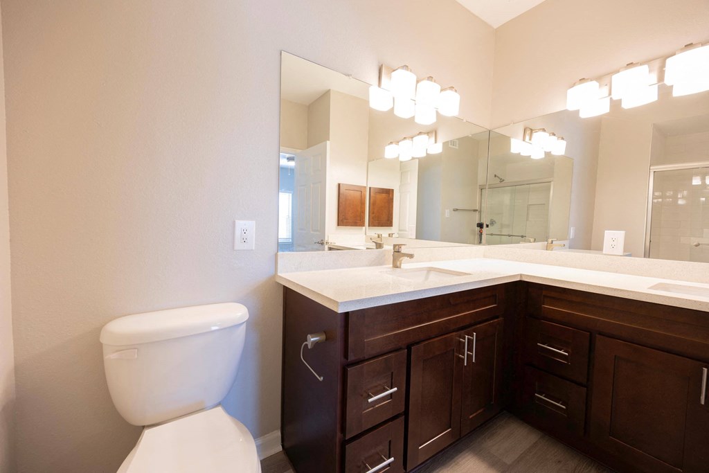 a bathroom with a toilet and a sink and a mirror