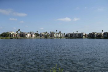 3102 Cove View Blvd 1-2 Beds Apartment for Rent - Photo Gallery 4