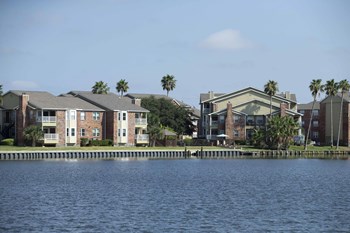 3102 Cove View Blvd 1-2 Beds Apartment for Rent - Photo Gallery 3