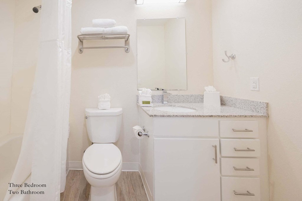 a bathroom with a toilet and a sink and a mirror at Parks Residential - Richardson, Texas, 75082