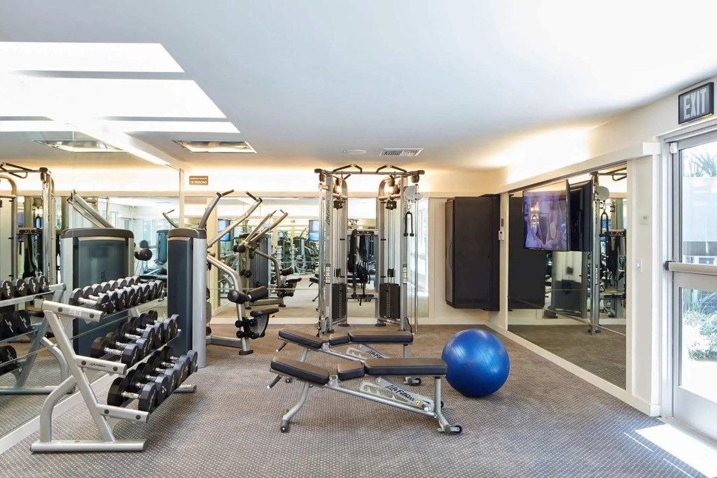 A gym with a variety of equipment including weights, a bench press, and a ball.