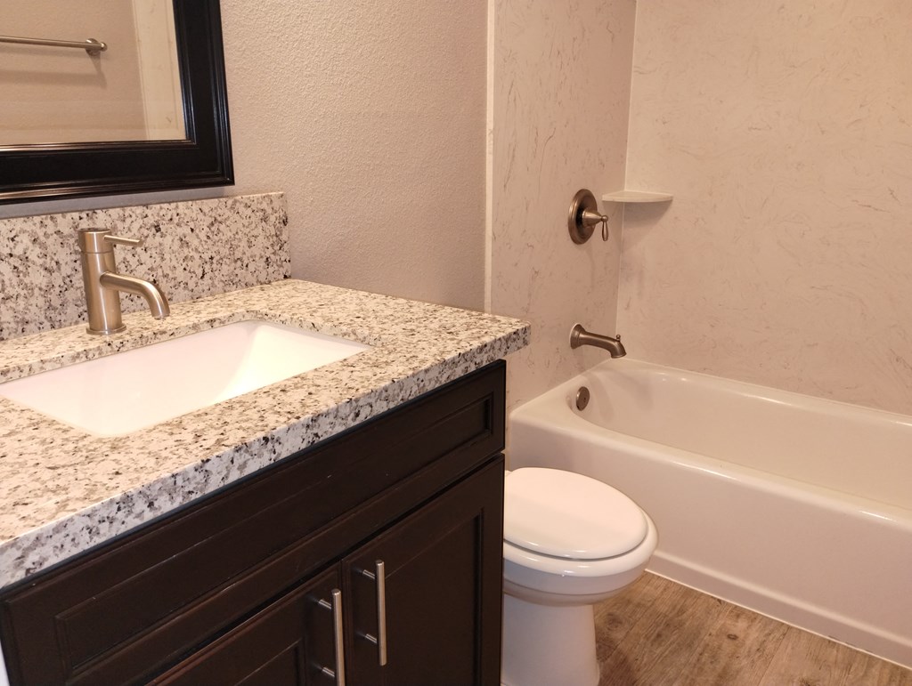 a bathroom with a sink and a toilet and a bath tub