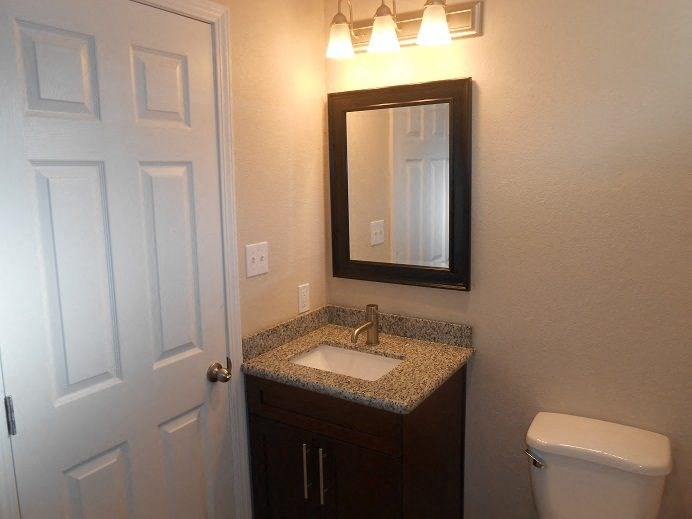 a bathroom with a sink and a mirror and a toilet
