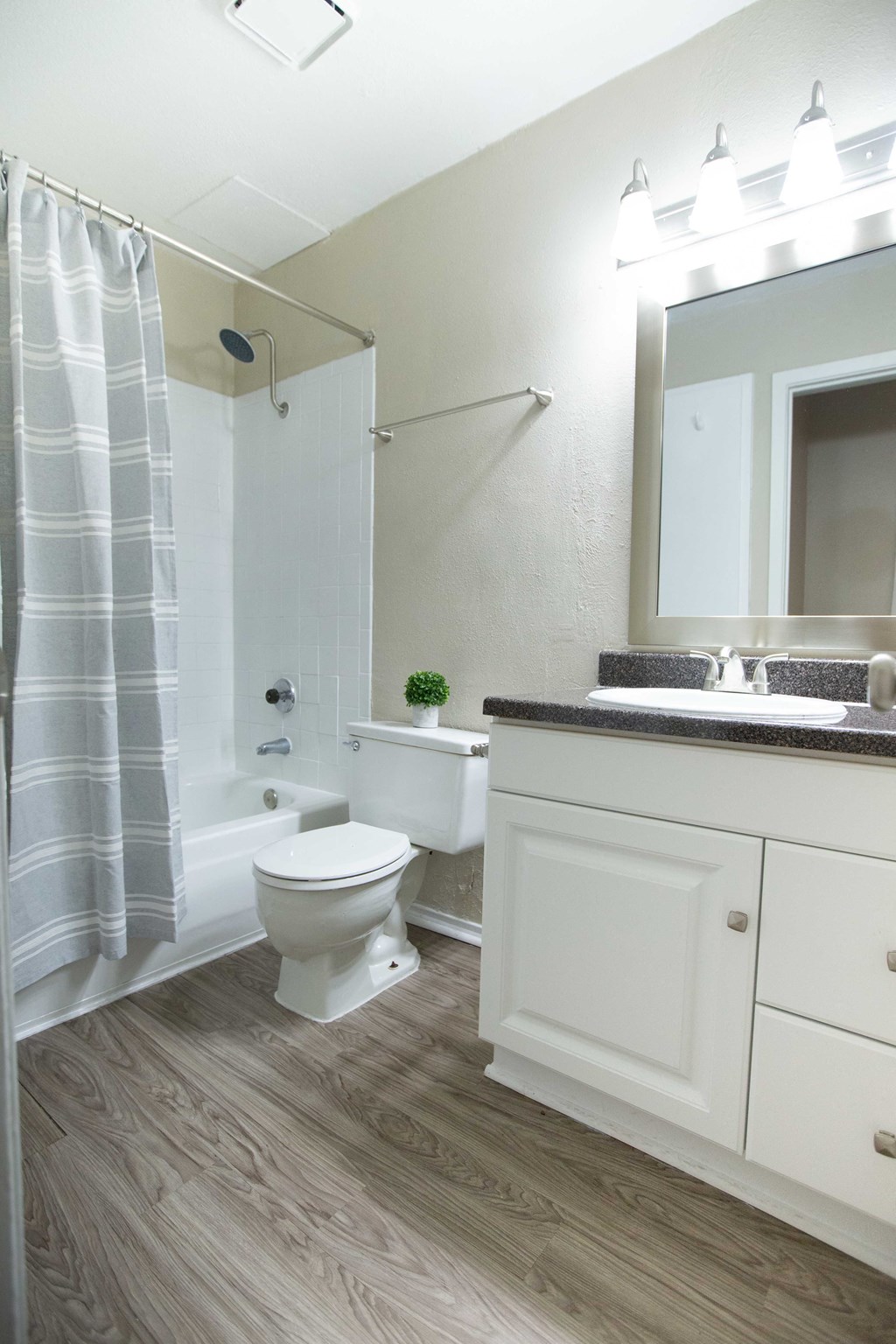 Rolling Brook Bathroom with counter, mirror, lighting, toilet, and tub shower combo