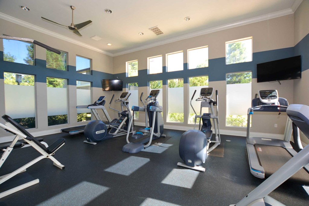 gym with cardio equipment and windows at the woodlands apartments