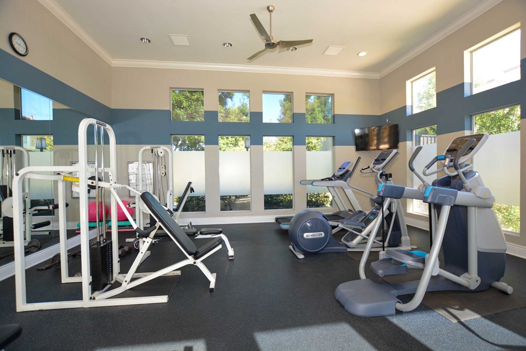 a gym with weights and cardio equipment in a room with windows