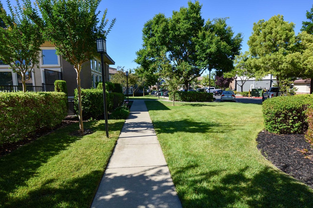 a sidewalk in a grassy area with trees and buildings