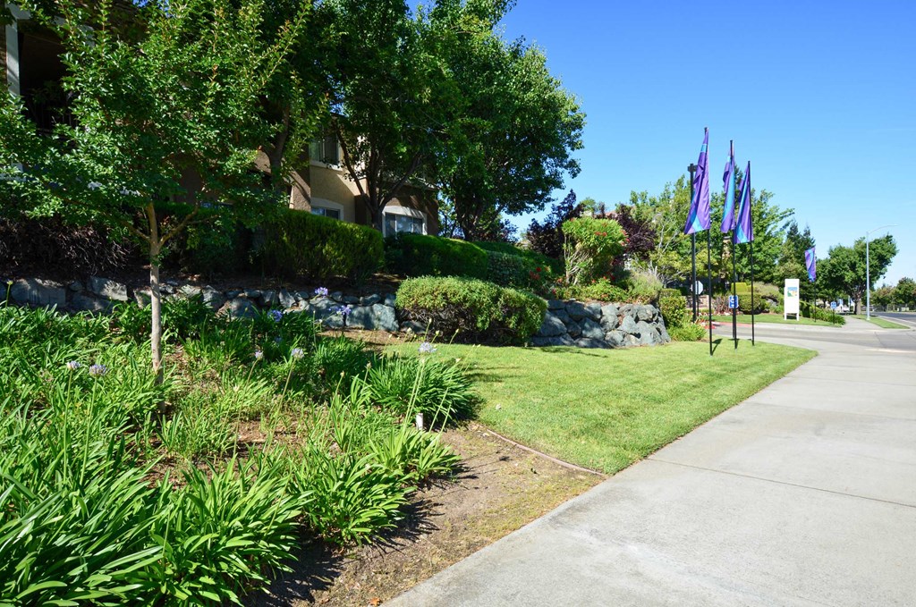 a sidewalk in front of a park with trees and flags