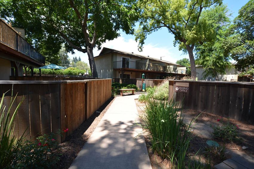 Private patio/balcony View of sidewalk winding between private patio/balcony with blooming landscaping and trees shading the sidewalk - Photo Gallery