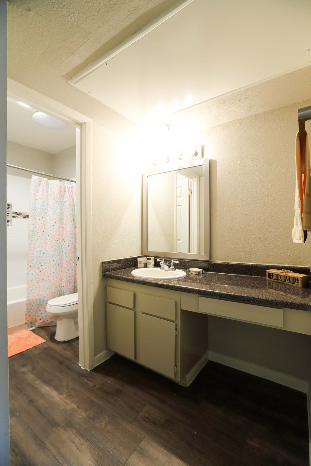 a bathroom with a sink and a toilet