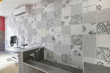 A bathroom with a tiled wall and a shower.
