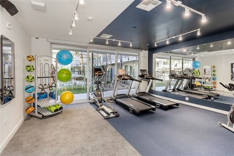 A gym with treadmills, weights, and exercise balls.at The 89 on Hayden, Scottsdale  