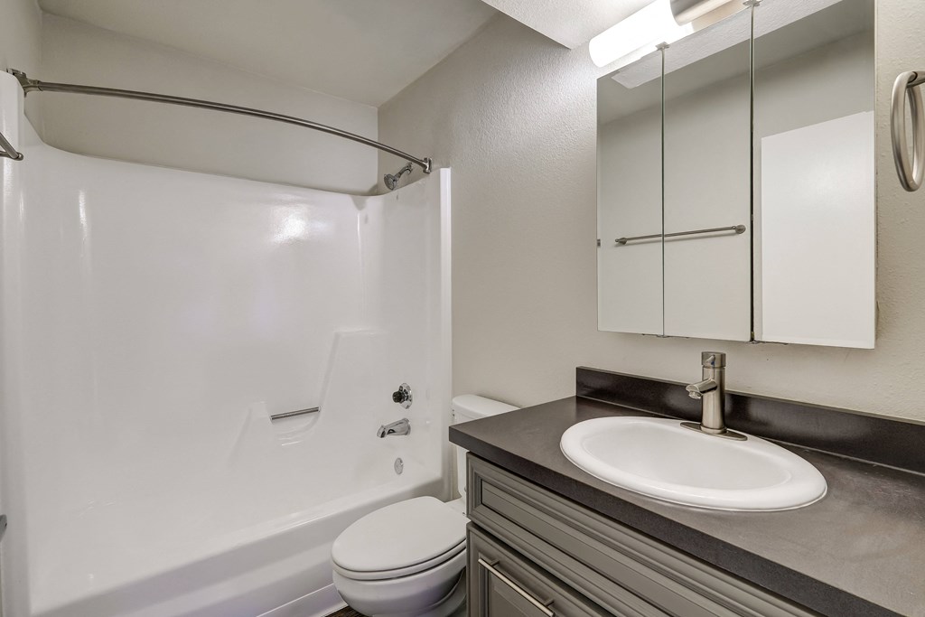 the preserve at ballantyne commons apartment bathroom with sink toilet and shower