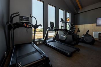 A home gym with treadmills, elliptical machines, and a stationary bike.