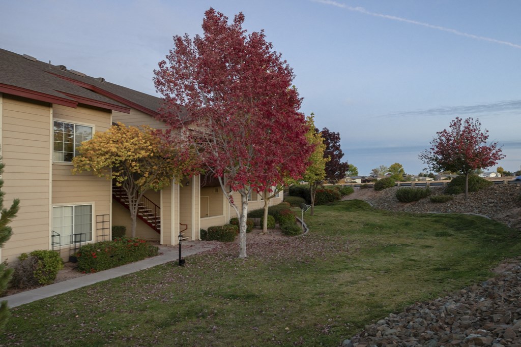 a house with a tree in front of it on a sidewalk