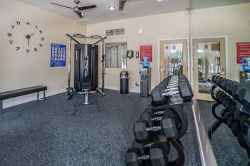 A gym with a row of dumbbells on the right and a bench on the left.