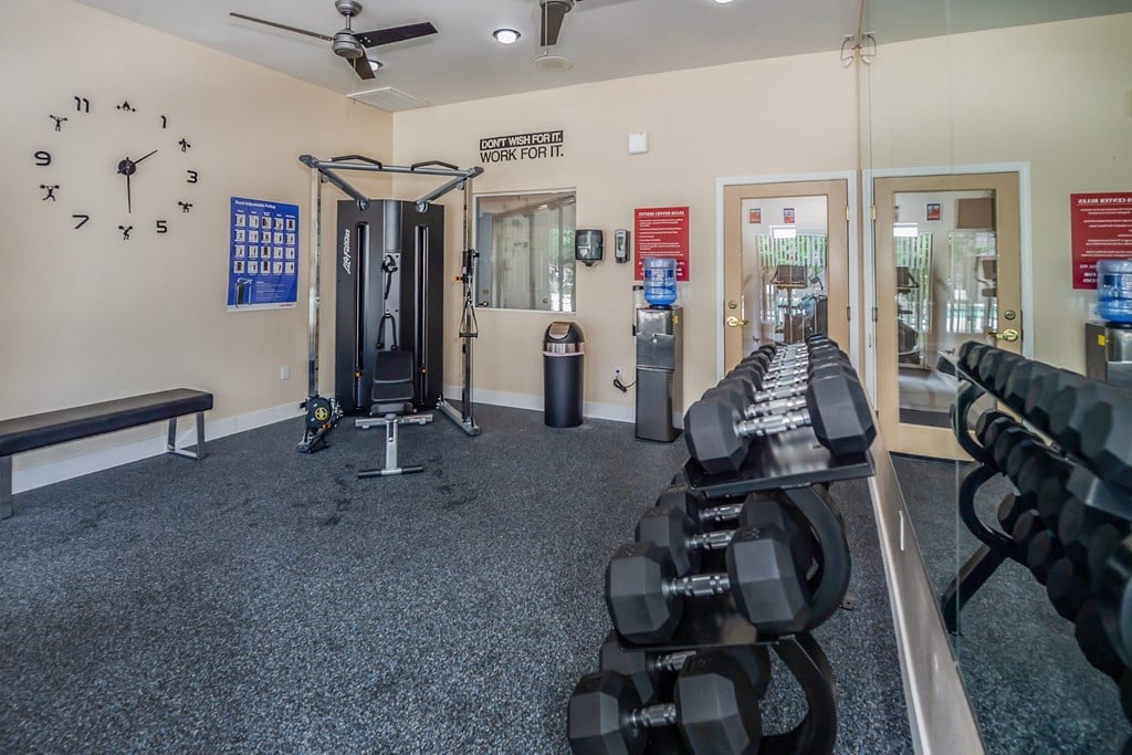 A gym with a row of dumbbells on the right and a bench on the left.