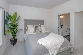 A bedroom with a bed, a plant, and a mirror.