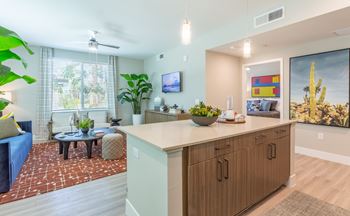 A living room with a blue couch and a red and white patterned rug.