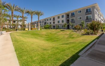 A large grassy area in front of a building with palm trees.