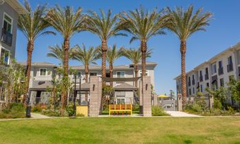 A row of palm trees in front of a building.