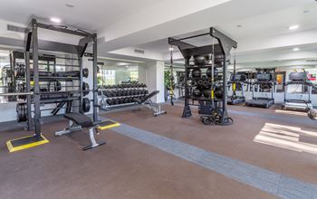 A gym with a variety of equipment including a squat rack, a bench, and a weight rack.