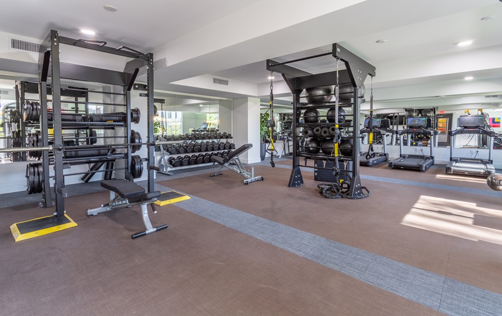 One-Bedroom Luxury Apartments in North Phoenix, AZ - The Amelia - Spacious And Well-Lit 24-Hour State-of-the-Art Fitness Center With Cardio Equipment.