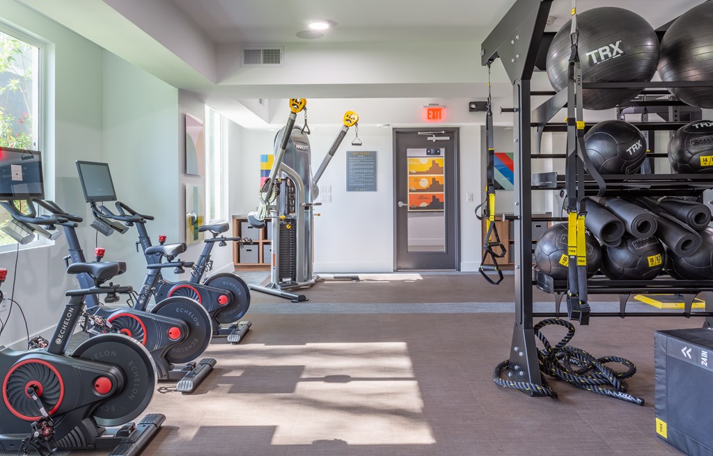A gym with exercise equipment and a TRX suspension trainer.
