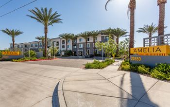 A sunny day at the Amelia 20350 apartment complex with palm trees lining the driveway.