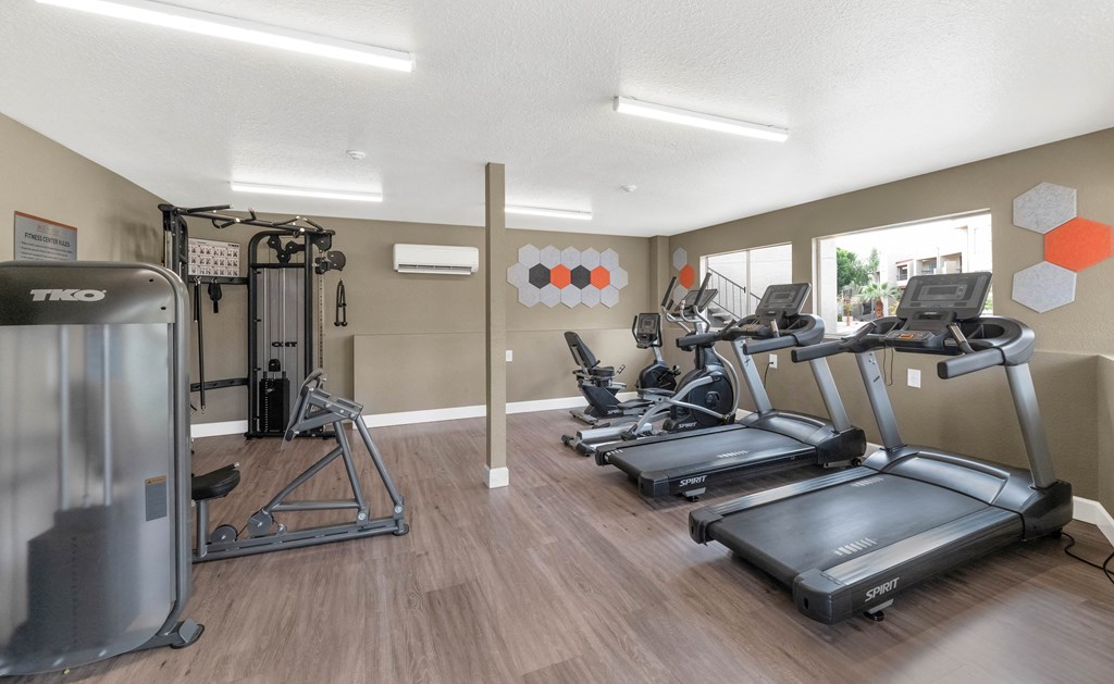 the gym in our apartments has cardio equipment and a lot of windows