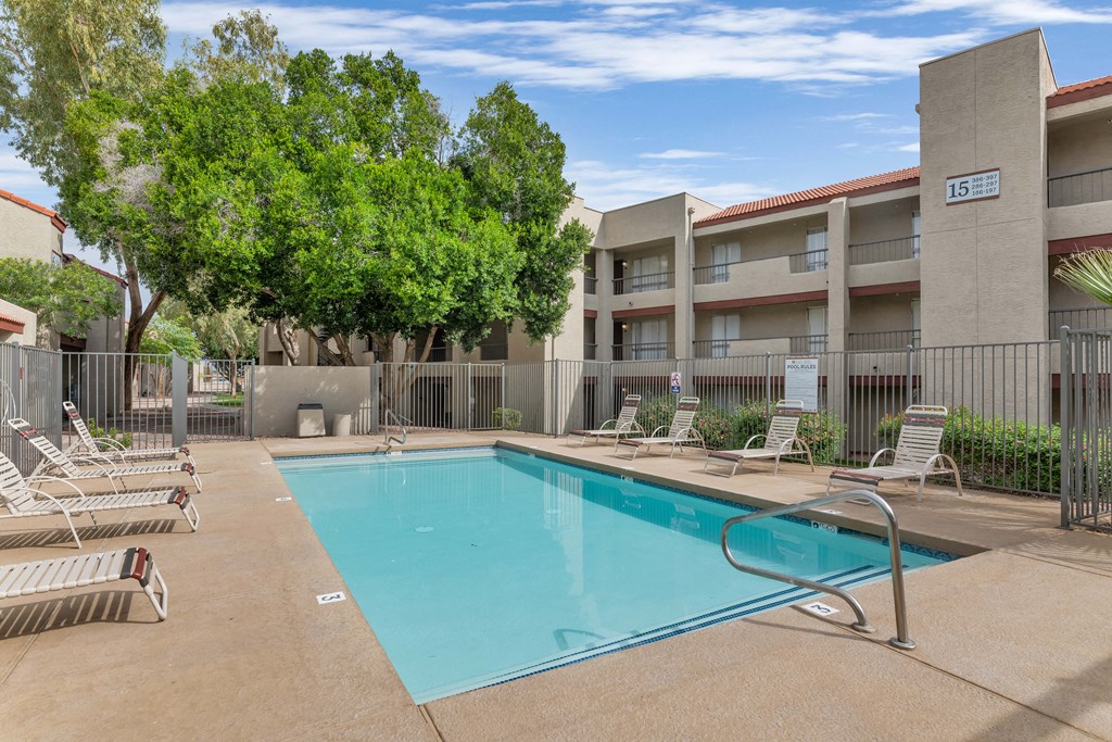 our apartments have a swimming pool with chairs and trees