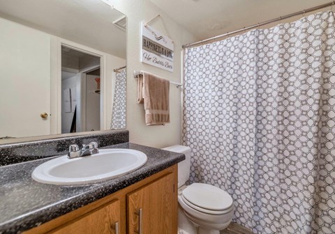 A bathroom with a toilet, sink, and shower curtain at Reflections at Red Mountain Apartments, Arizona, 85213
