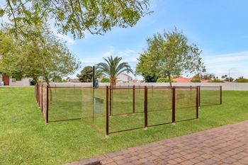 A metal fence with glass panels stands in a grassy area at Reflections at Red Mountain Apartments, Mesa, Arizona