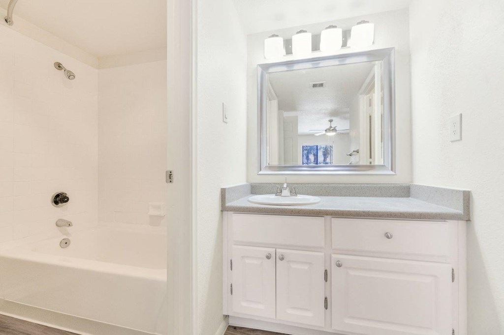 a bathroom with a sink and a bathtub