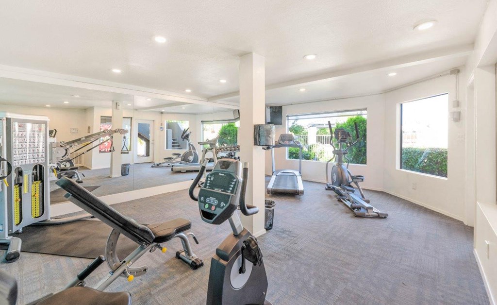 the gym at the preserve at great pond apartments in windsor