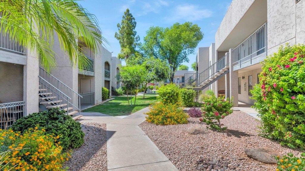 a walkway between two buildings with a palm tree in the foreground