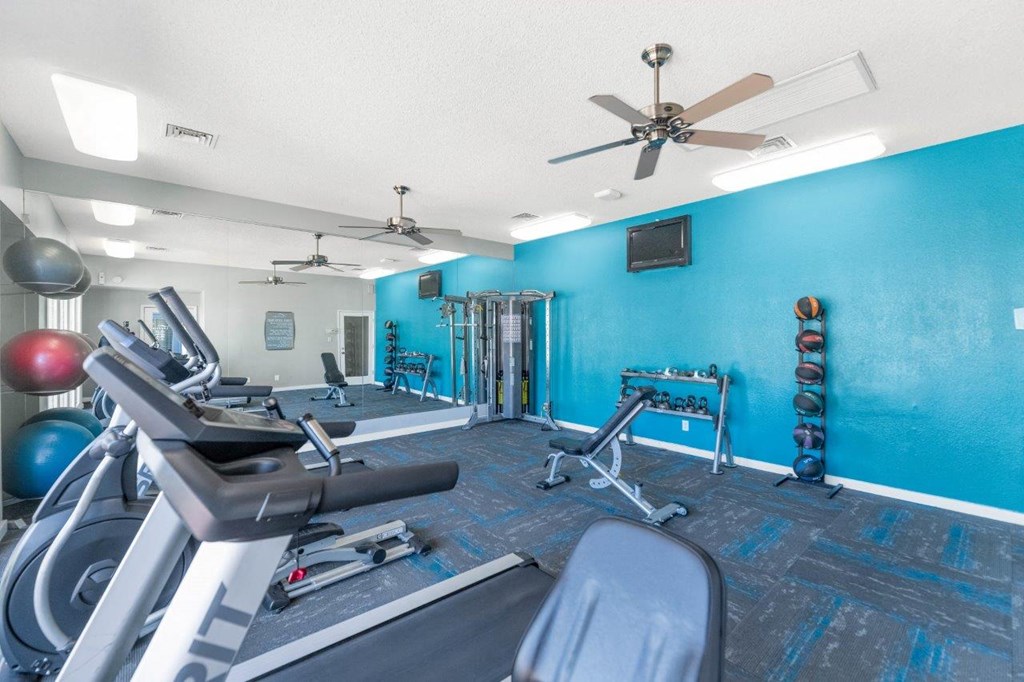 our apartments showcase a beautiful gym