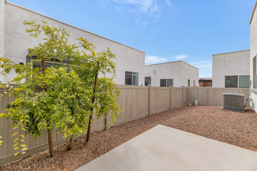 A tree in a yard in front of a building at Marketside Villas at Verrado, Buckeye, AZ