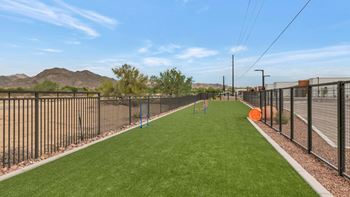 A fenced in yard with a green lawn and a baseball tee.