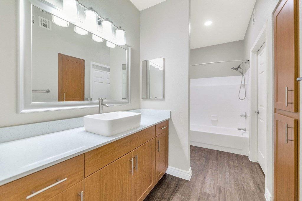 a bathroom with a sink and a mirror