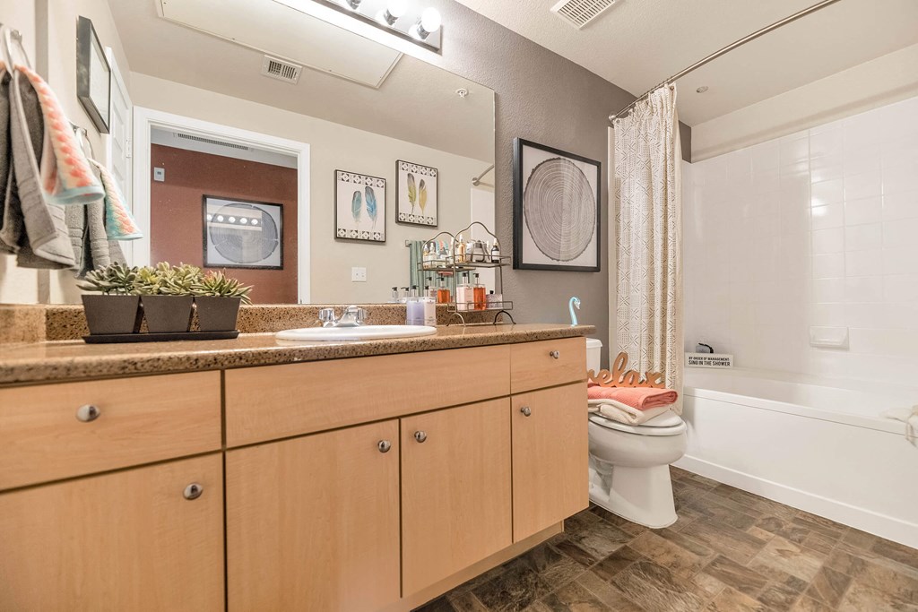 a bathroom with a sink and a toilet at Montage at Pecos Ranch Apartments, Chandler, AZ